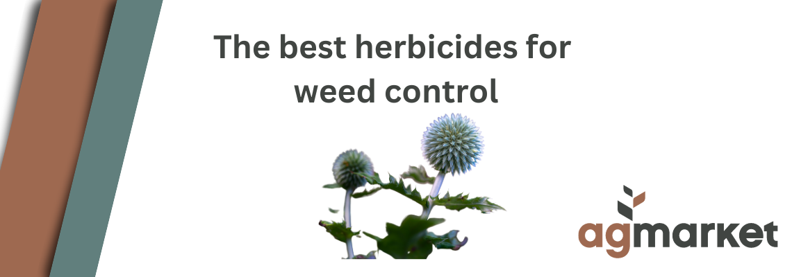 The Best Herbicides on AgMarket for weed control | Product Information | AgBlogs